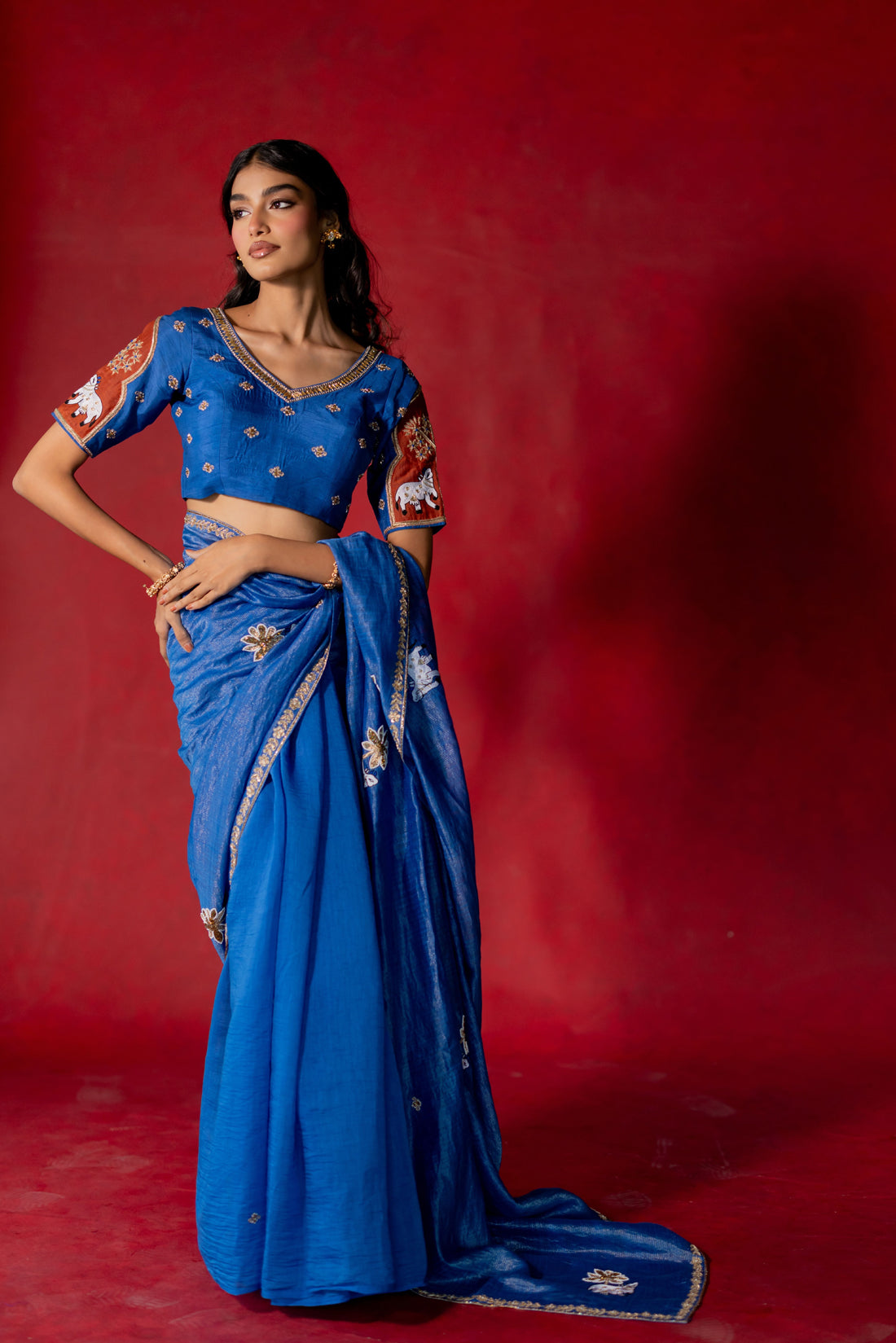 RUMI TISSUE SILK SAREE